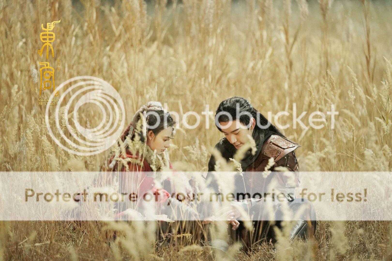 Series Review: Goodbye My Princess (Cdrama, 2019) | A Virtual Voyage